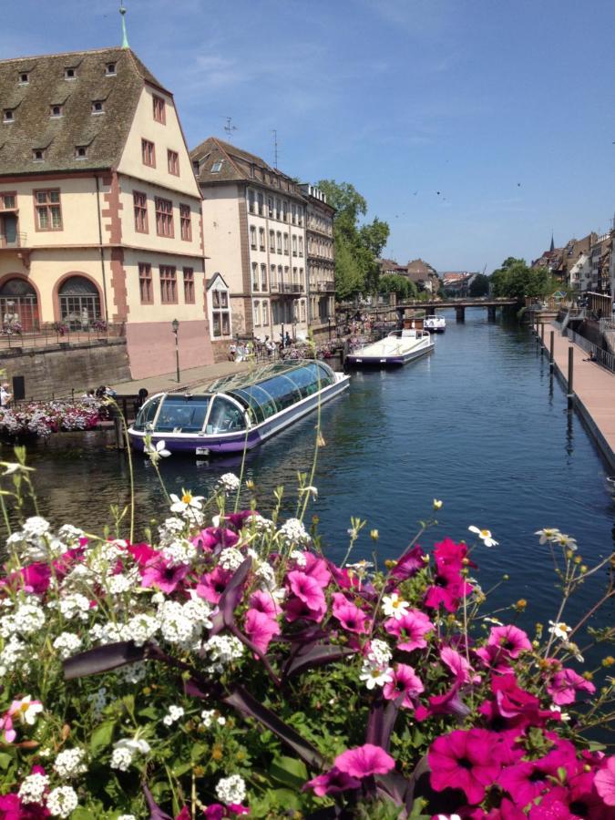 Appartement L'ecluse - Cosy, Calme, Hyper-centre Strasbourg